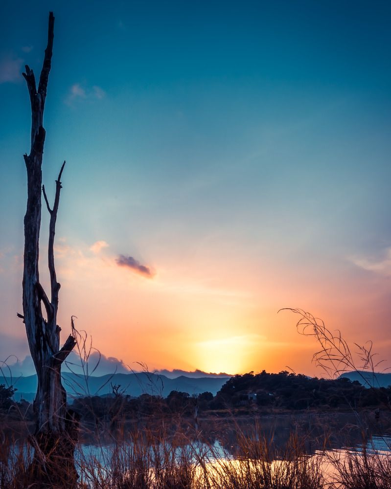 Photograph by Damith Gihan