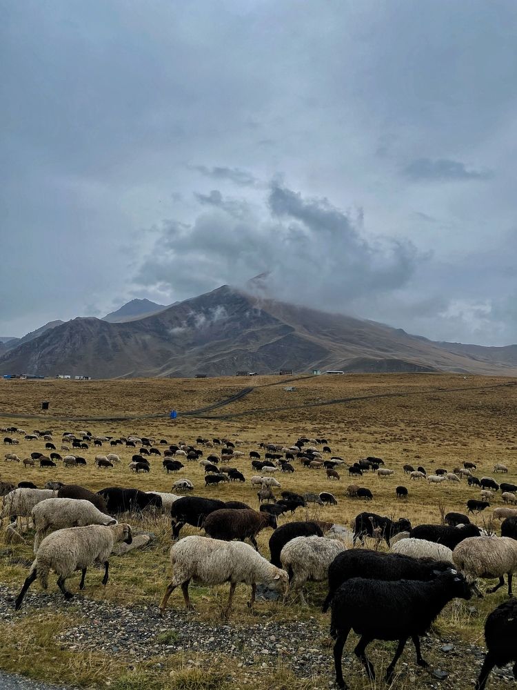 Photograph by Ирина Щербакова