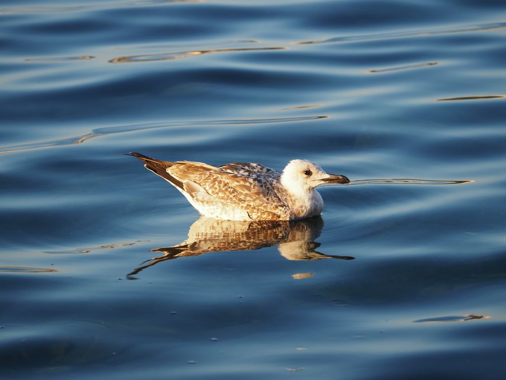 Photograph by Сергей Борисов