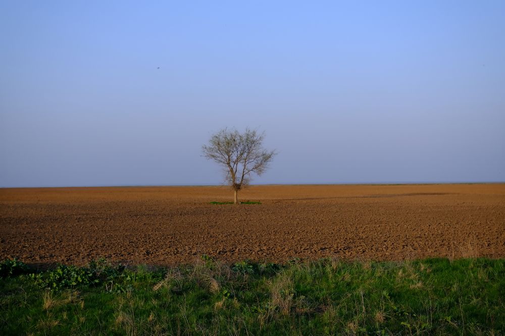 Photograph by Дарья Юрьевна