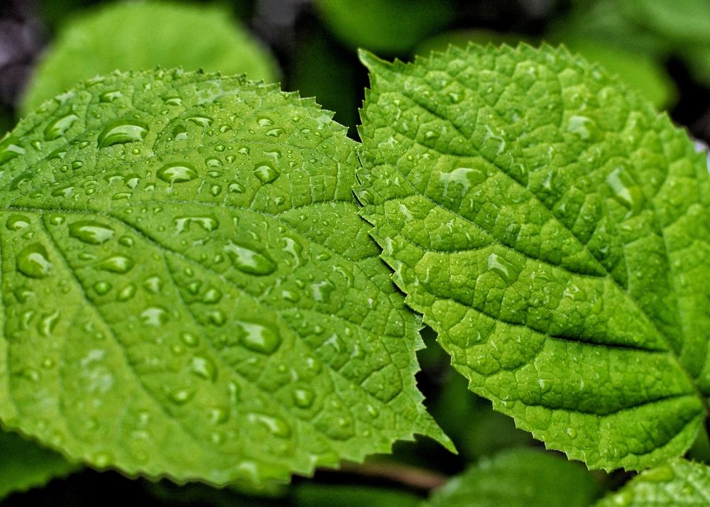 Фотография автора Olga Belikova