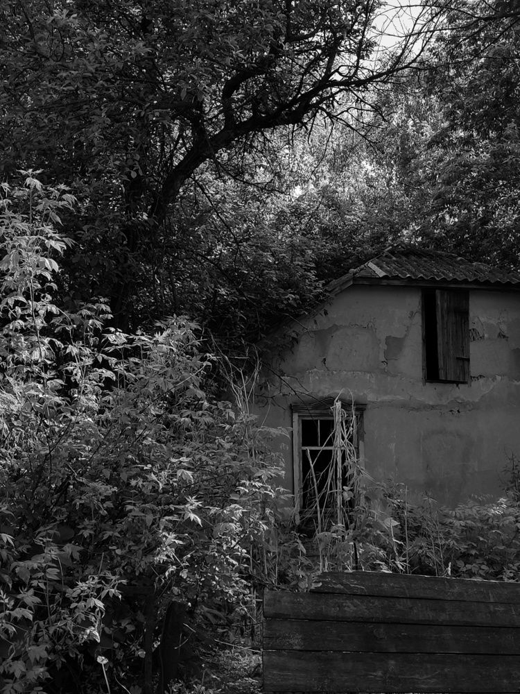 Photograph by Татьяна Аршинова