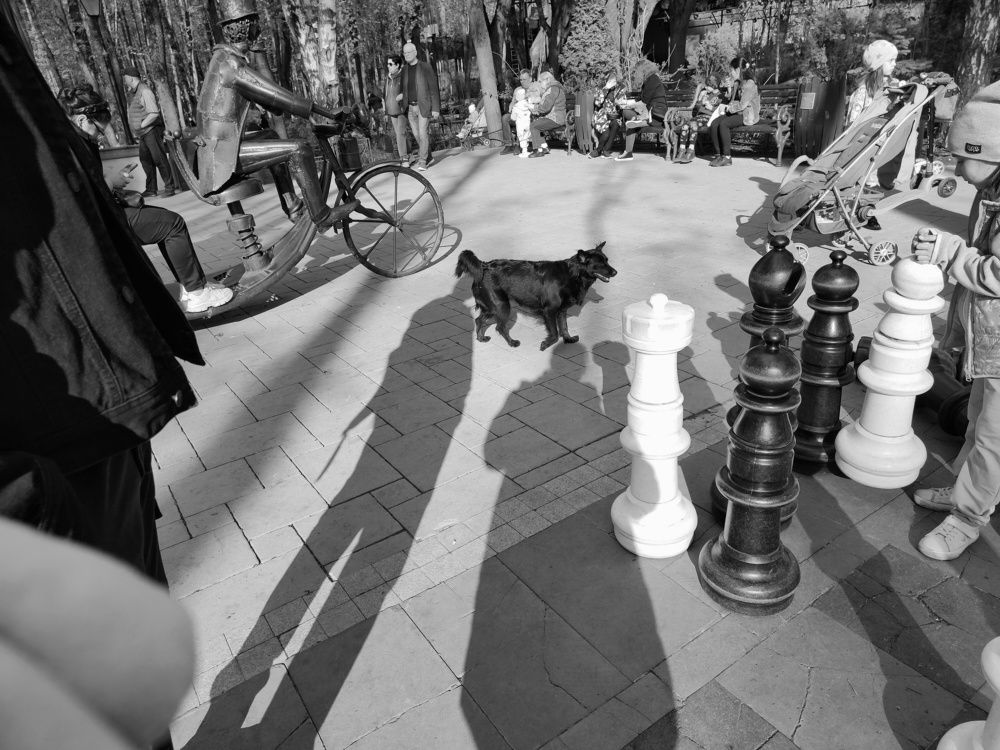 Photograph by Татьяна Аршинова