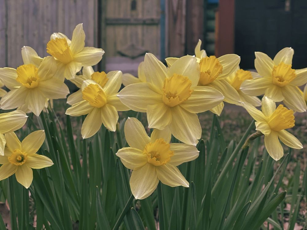 Photograph by Лада Сартакова