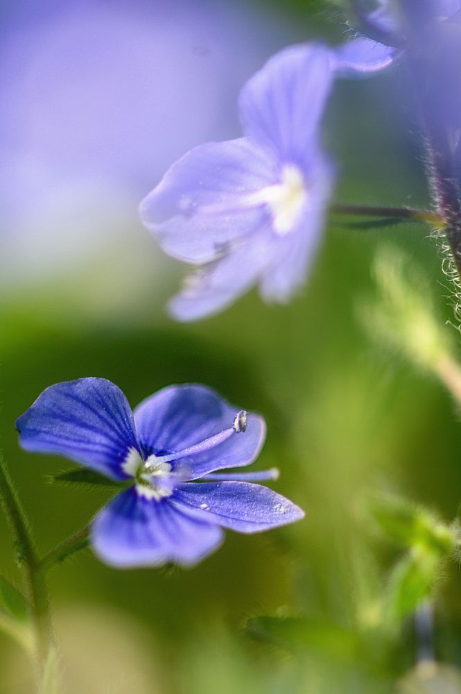 Photograph by Нуждин Андрей