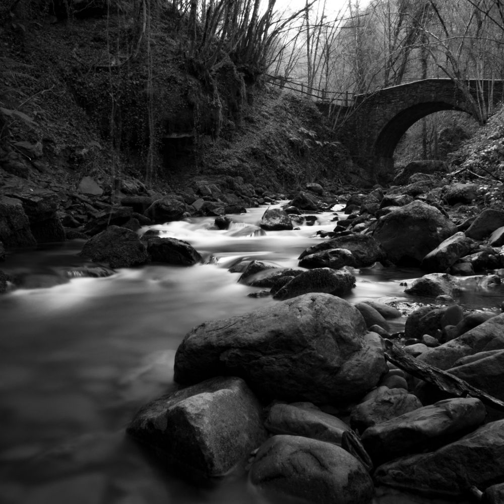 Photograph by Claudio Casini