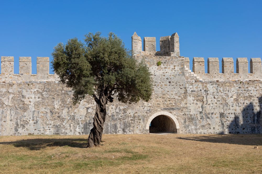 Photograph by Olga Min