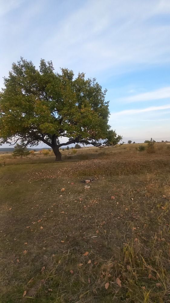 Photograph by Дарья