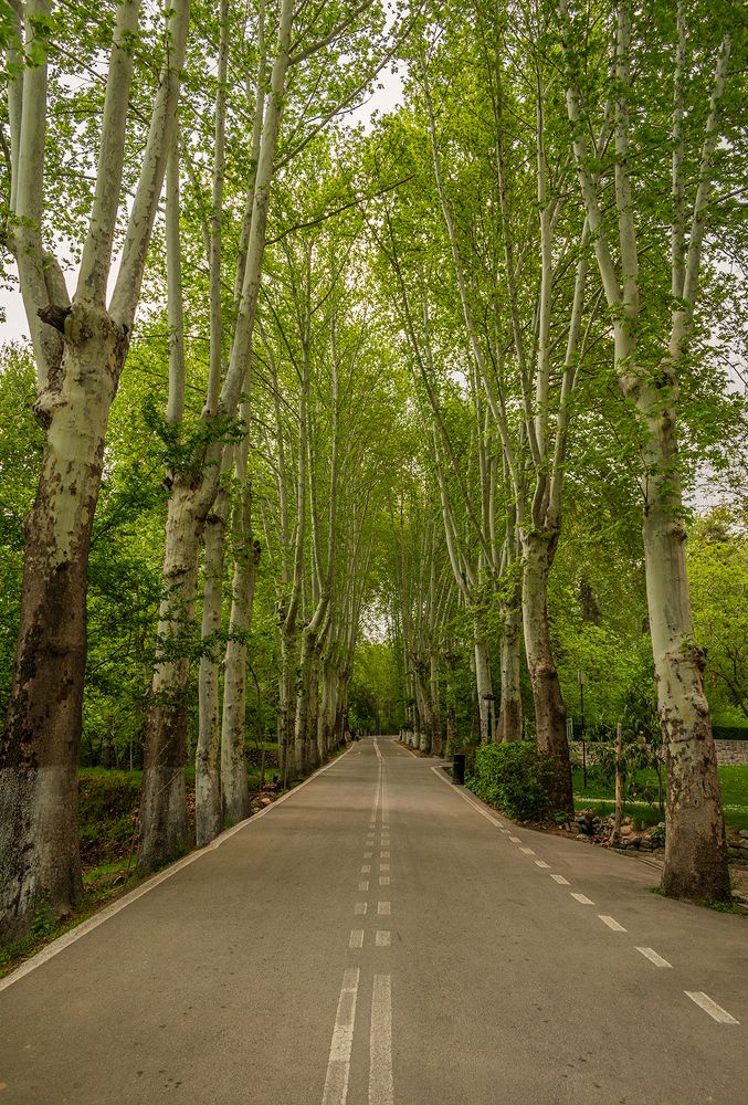 Photograph by Amin Eksiri