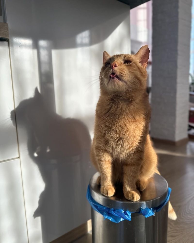 Photograph by Ksenia Rastokina