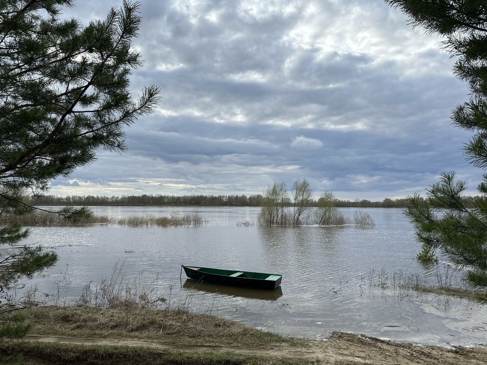 Photograph by Ksenia Rastokina