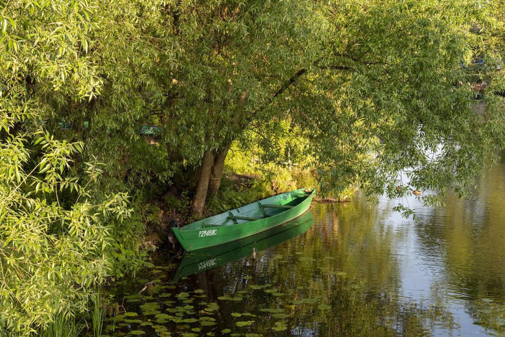 Фотография автора Igor Bubnov