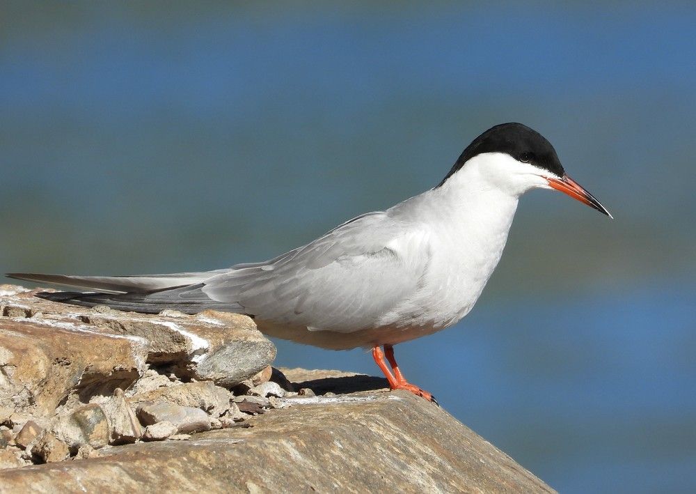 Photograph by Владимир Джерихов