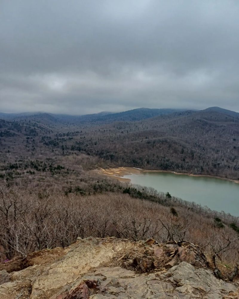 Photograph by Елена Каширина