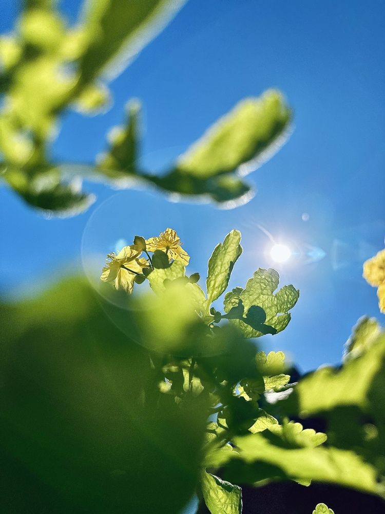 Photograph by ANDREY ZARUBIN