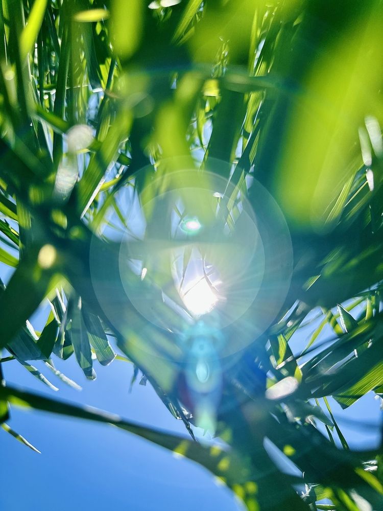 Photograph by ANDREY ZARUBIN