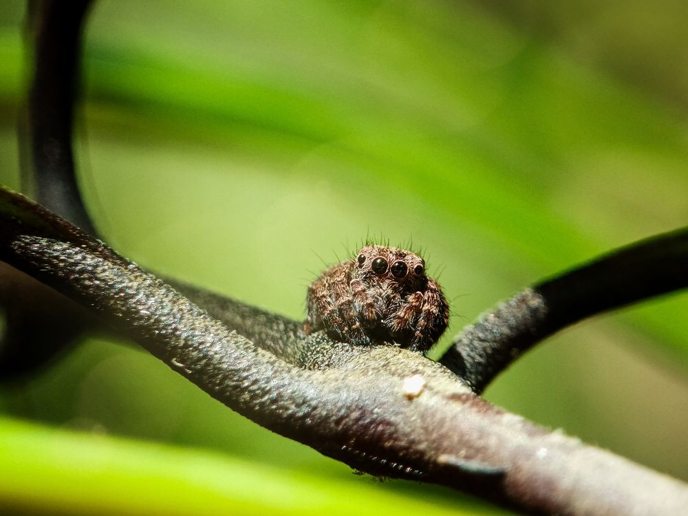 Photograph by Arziel Casidsid