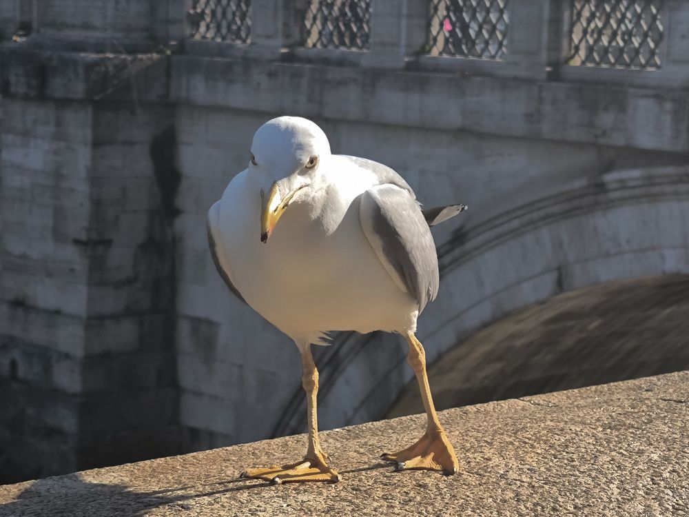 Photograph by DANIELA ROSSI