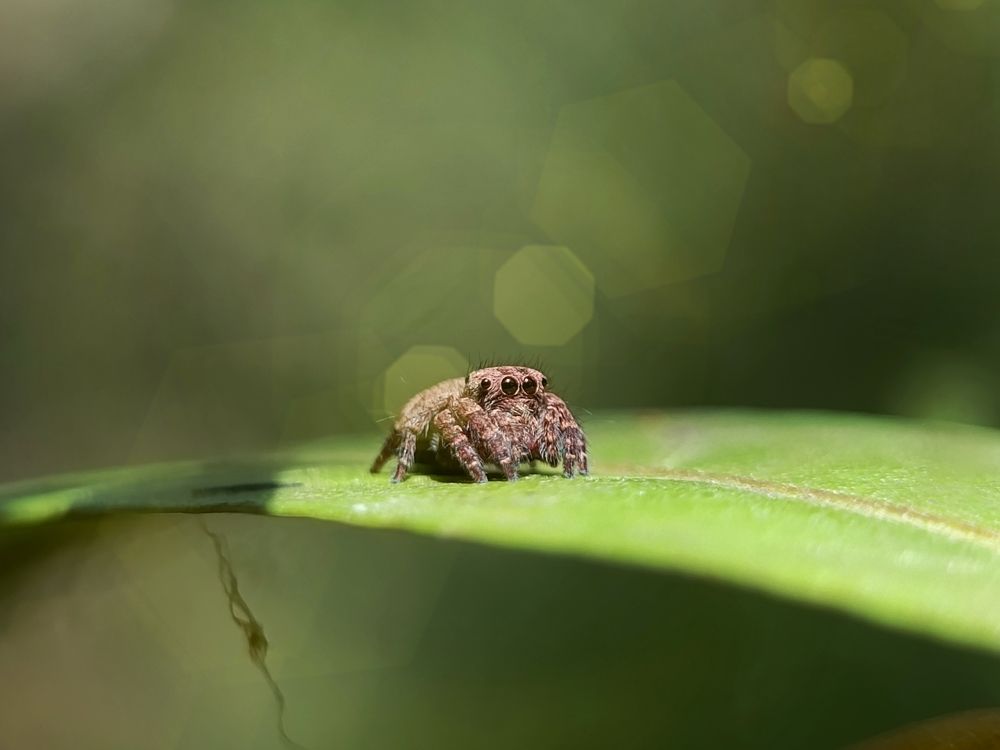 Photograph by Arziel Casidsid