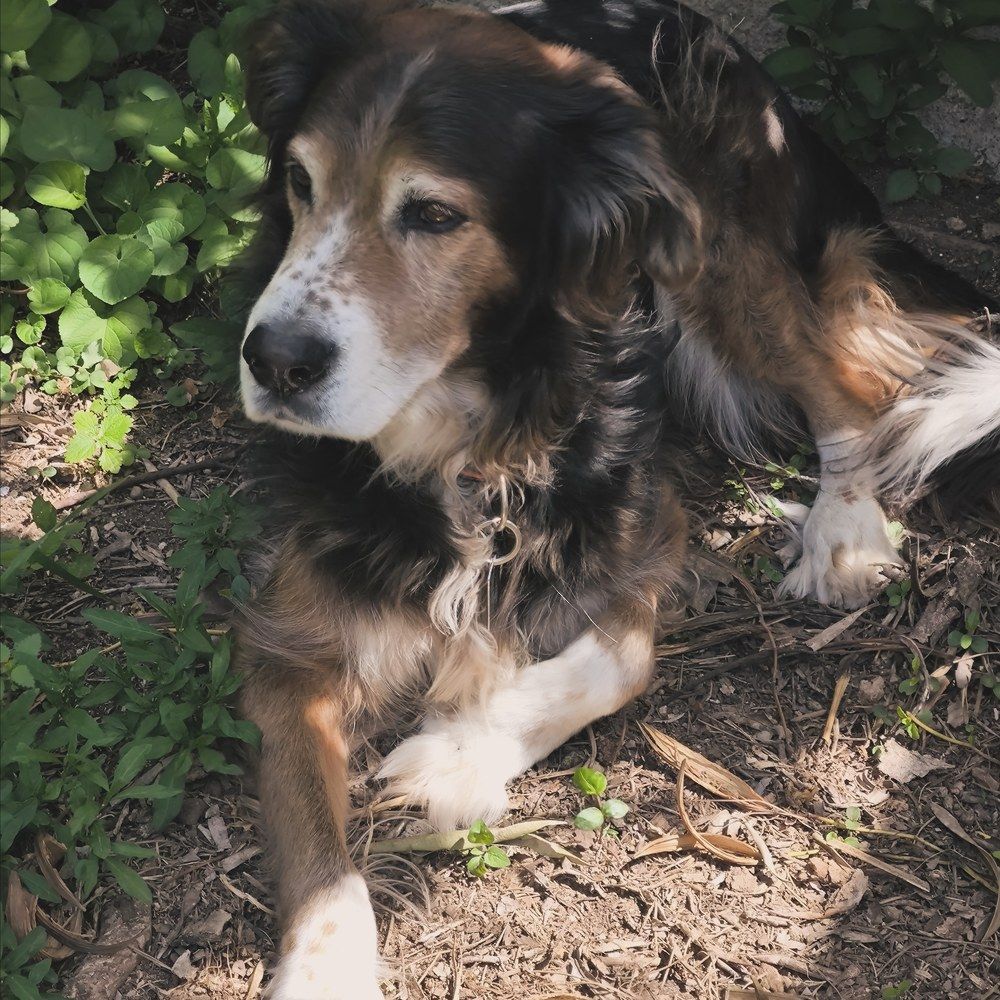 Photograph by DANIELA ROSSI