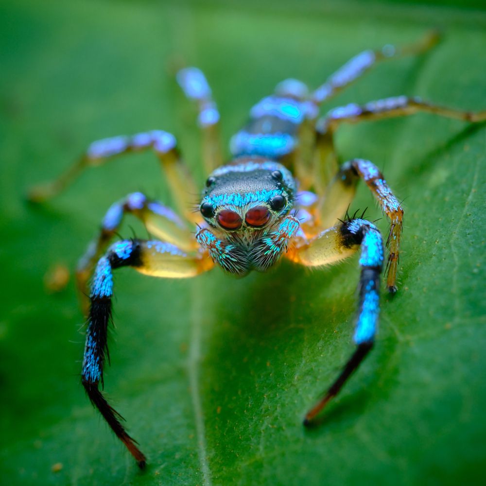 Фотография автора John Bernard Triumfante