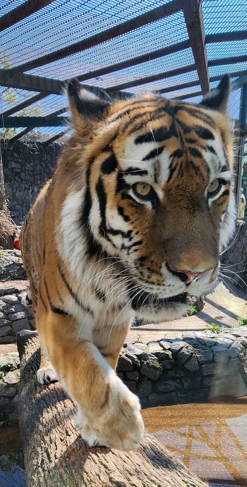 Photograph by Tatiana Denisova