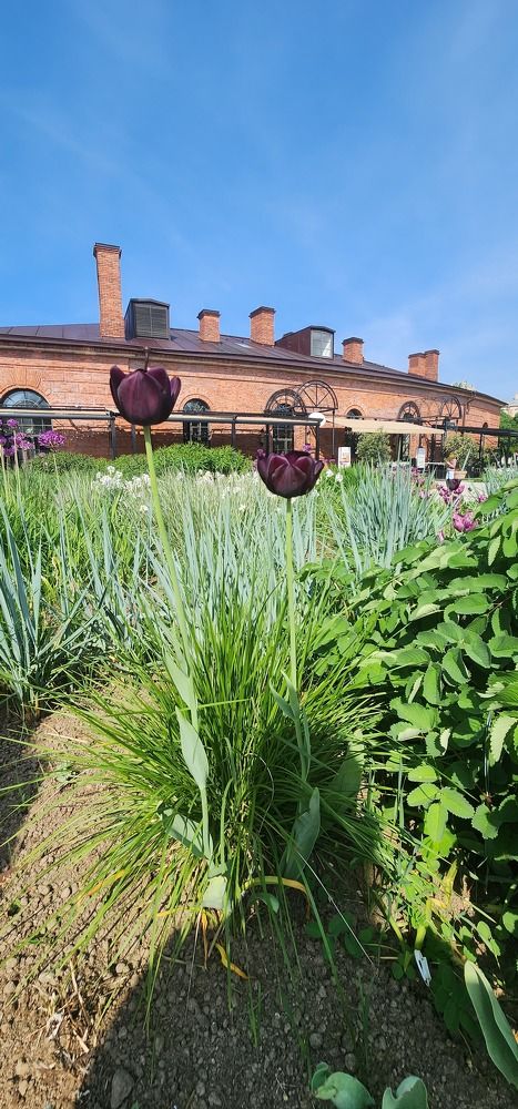 Photograph by Tatiana Denisova