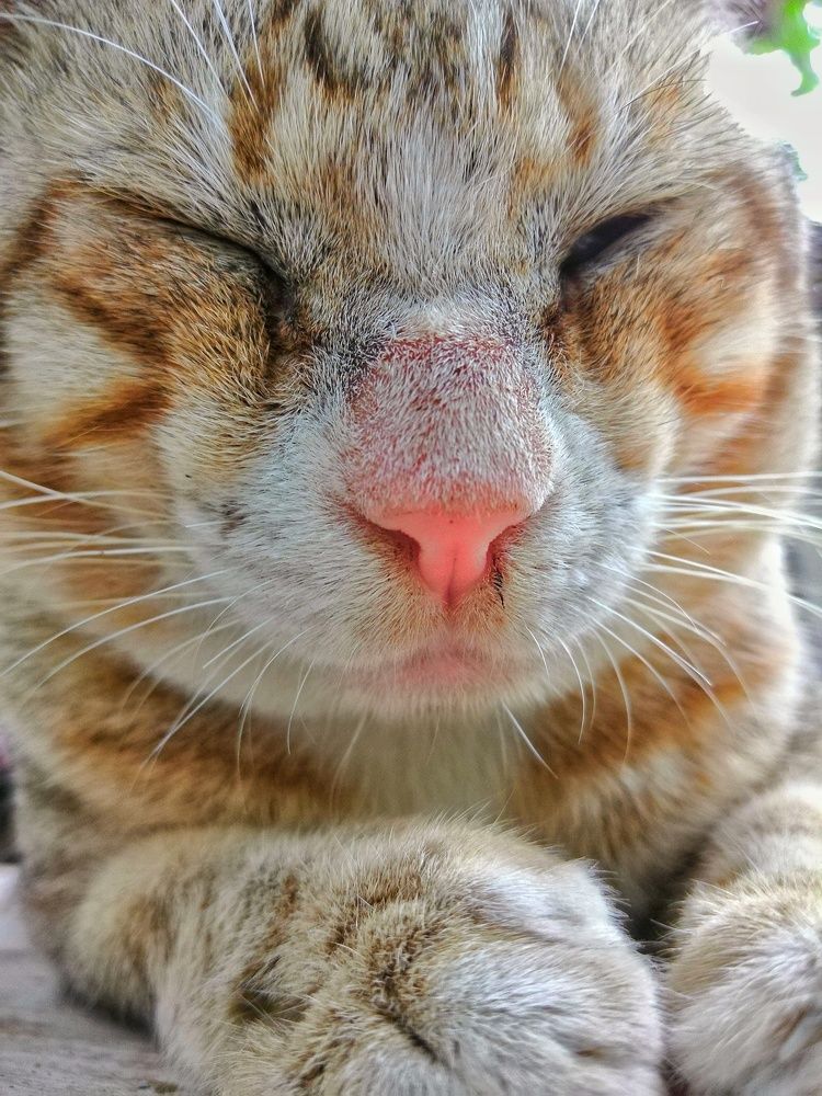 Photograph by DILEKSHAN S HHT KS