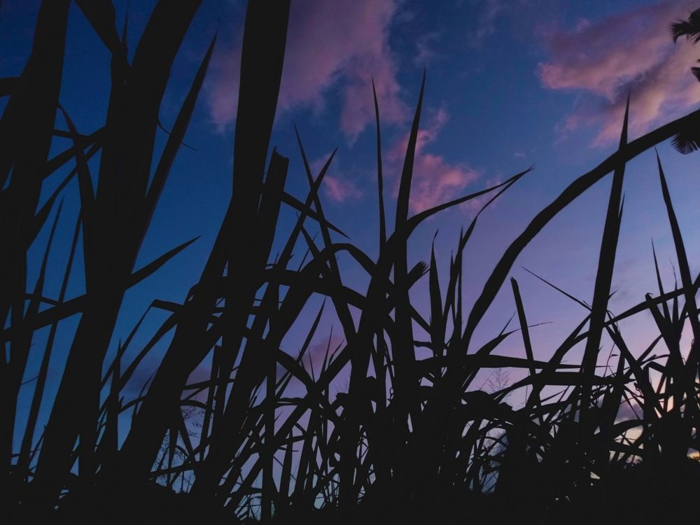 Photograph by Sahan nandika