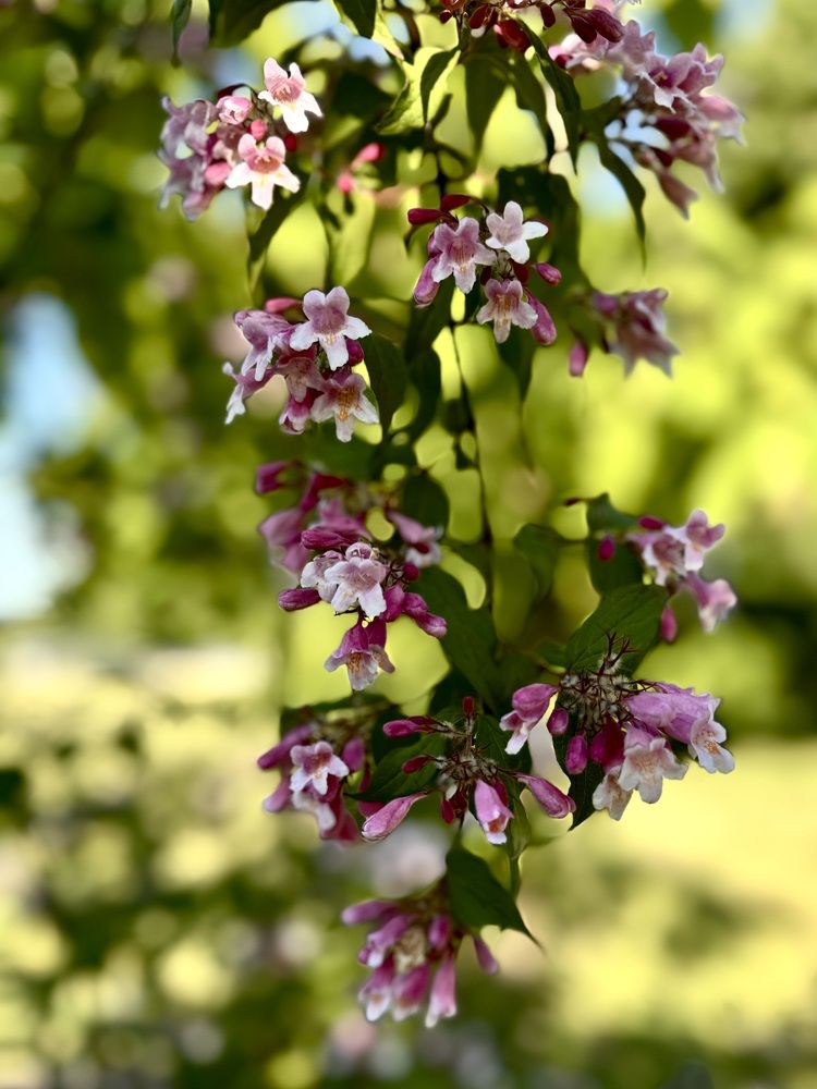 Фотография автора Светлана Герасимук