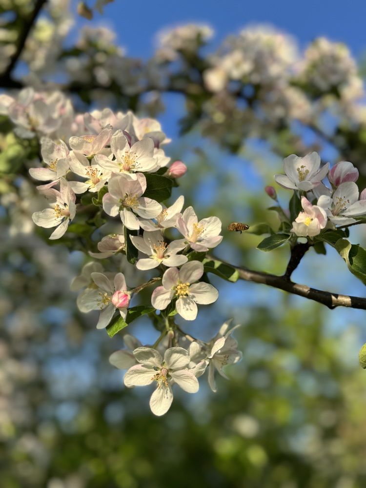 Фотография автора Светлана Герасимук