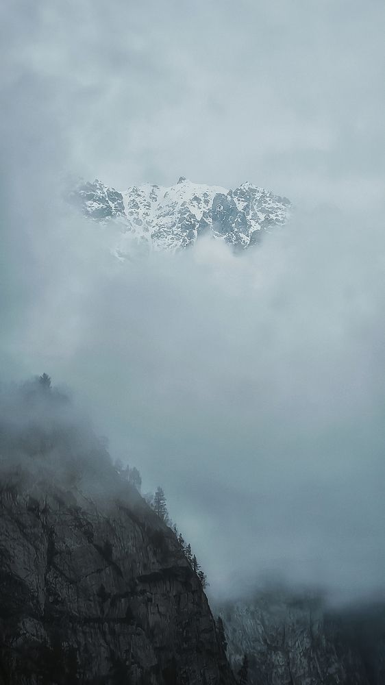 Цейский ледник