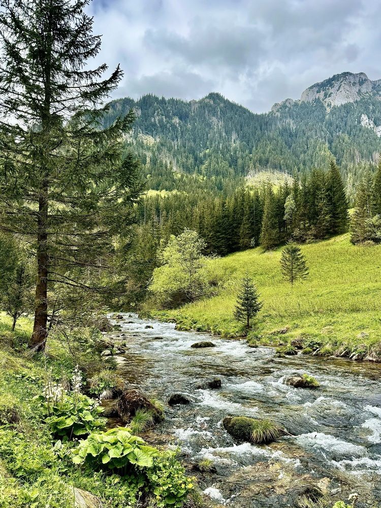 Фотография автора Светлана Герасимук