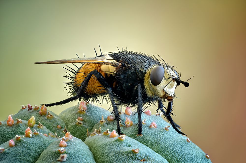 Photograph by Антон Финевич