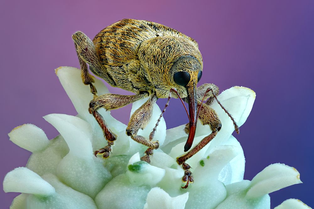 Photograph by Антон Финевич