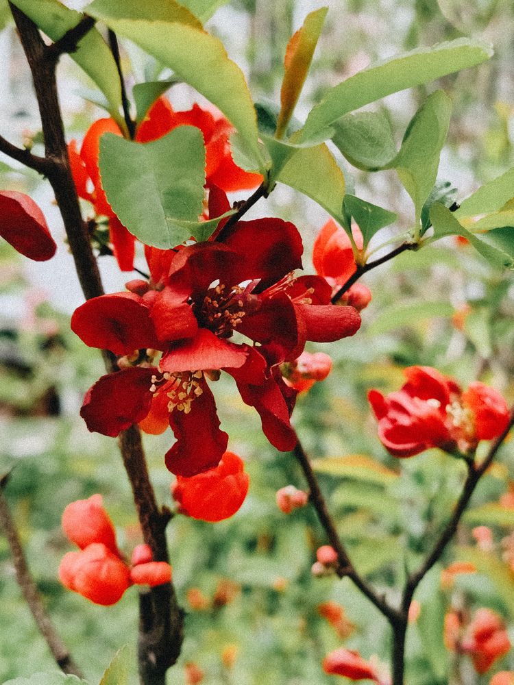 Photograph by Анастасия Лотова