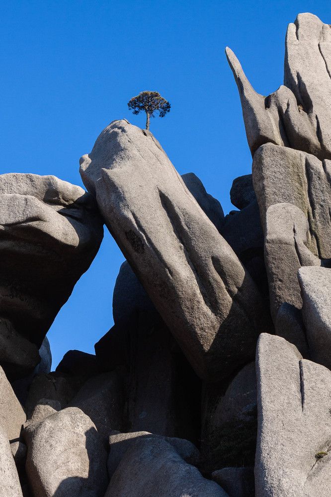 Photograph by Марина Маликова