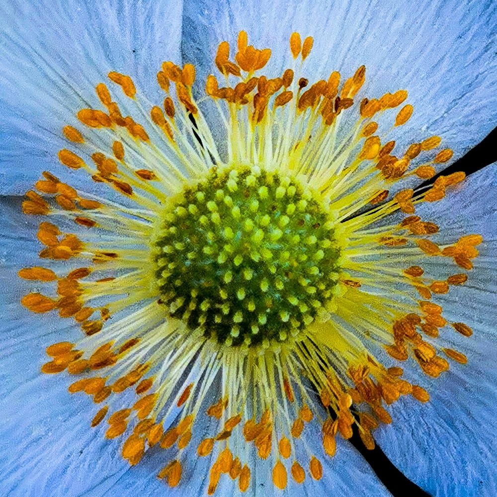 Photograph by Nikolett Mengyi