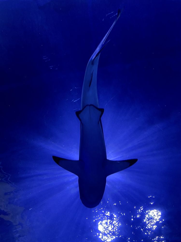 Photograph by Валентина Мишина