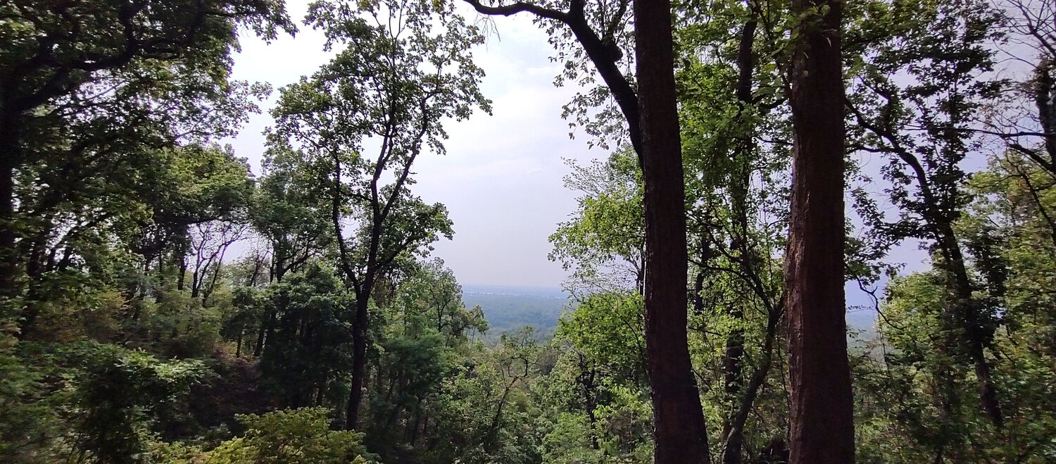 Photo #10657695