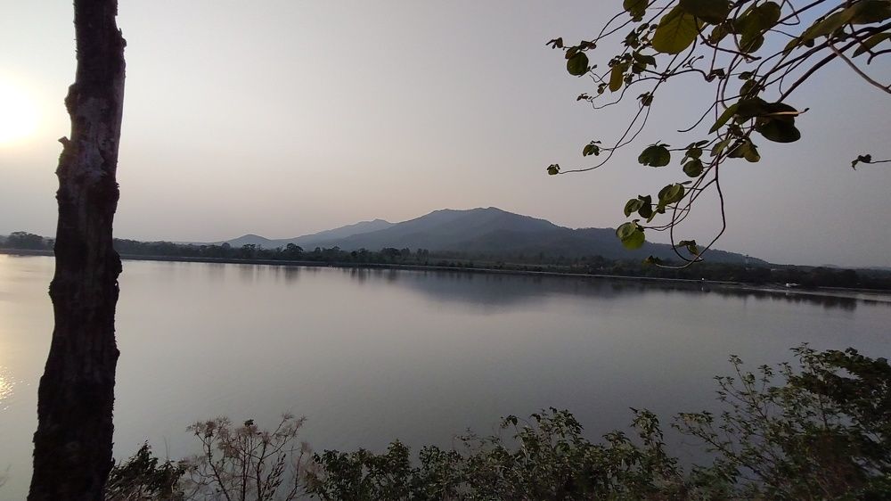 Photo #10657701