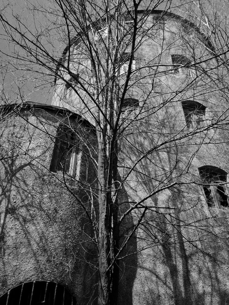 Photograph by Контрасты Мира