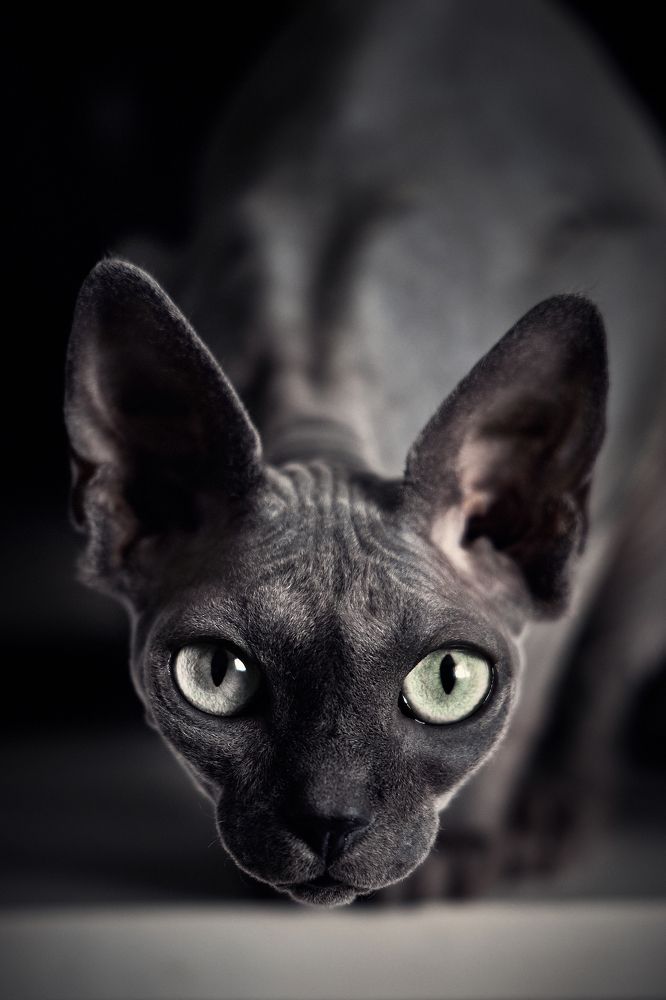 Photograph by Вострецов Иван