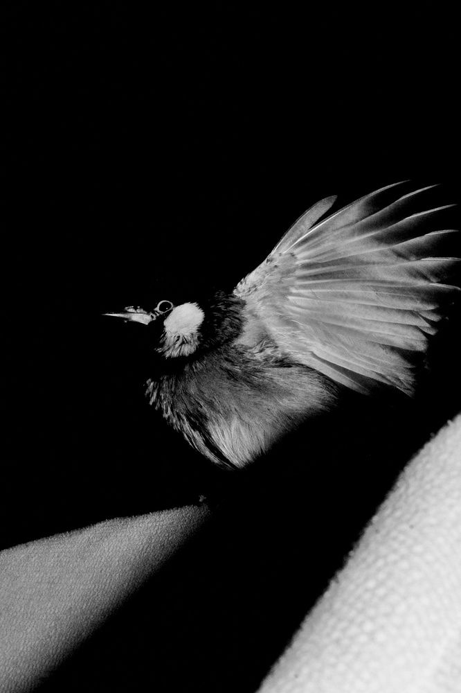 Photograph by NARJES Al_Bayati (Narjes Alzahraa)