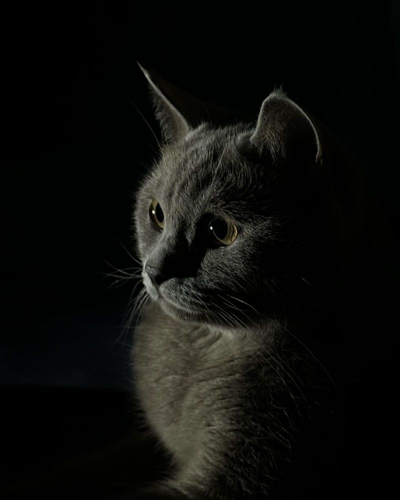 Photograph by 