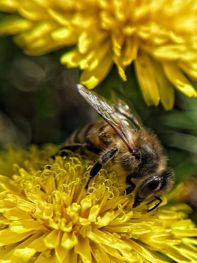 Photograph by Елена Фатеева