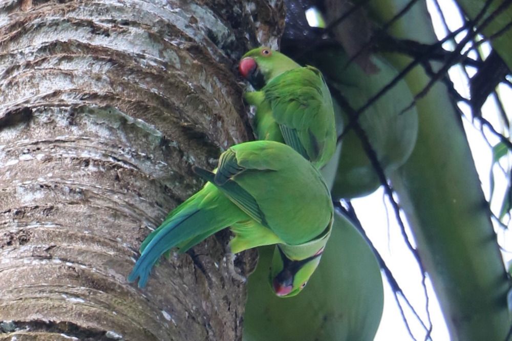 Photograph by Dimuth De Zoysa