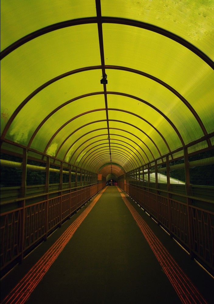 Photograph by Анна Матецкая