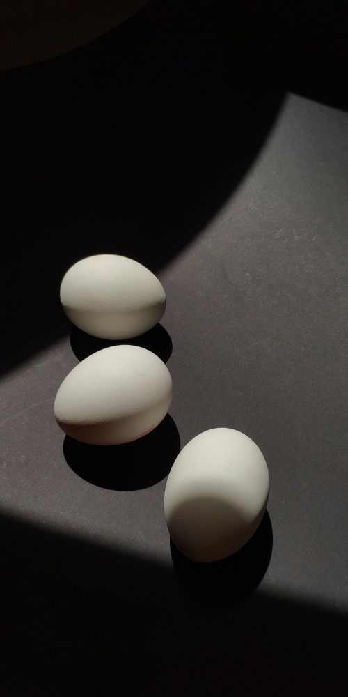 Photograph by Marina Terechov