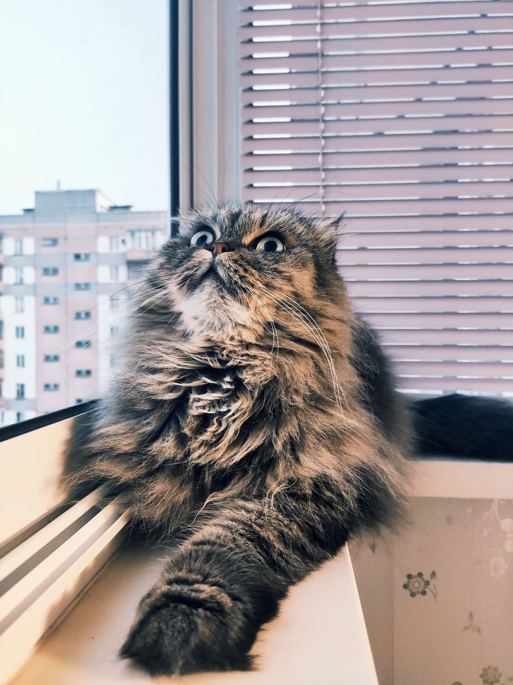 Photograph by Алексей Ларин